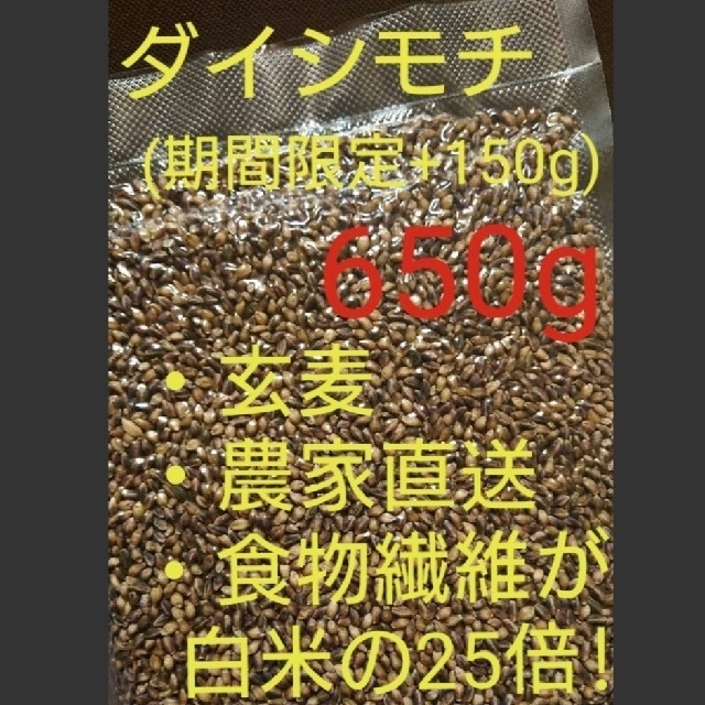 ダイシモチ 玄麦 食品/飲料/酒の食品(米/穀物)の商品写真