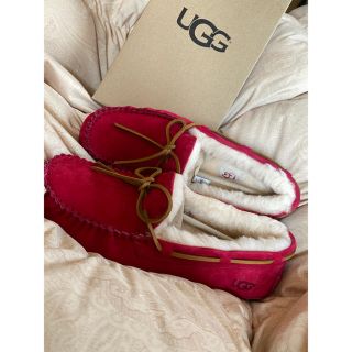 アグ(UGG)の新品　UGG Dakota 25(スリッポン/モカシン)