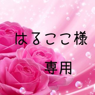 はるここ様専用　お米　令和元年　愛媛県産あきたこまち　玄米　20㎏(米/穀物)