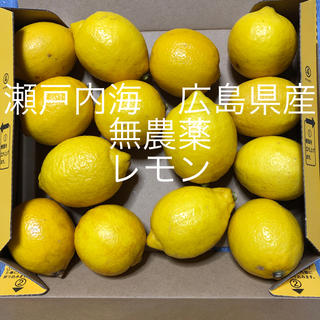 広島県産　レモン　無農薬　😋(フルーツ)