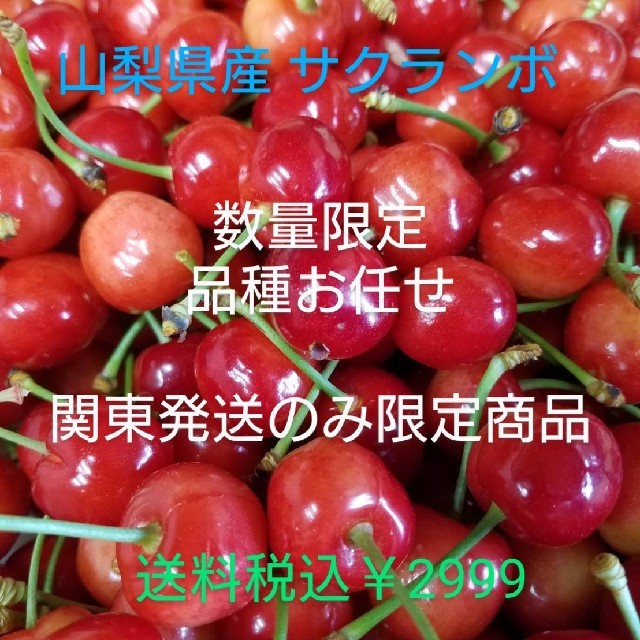 🍒山梨県産 さくらんぼ🍒 食品/飲料/酒の食品(フルーツ)の商品写真