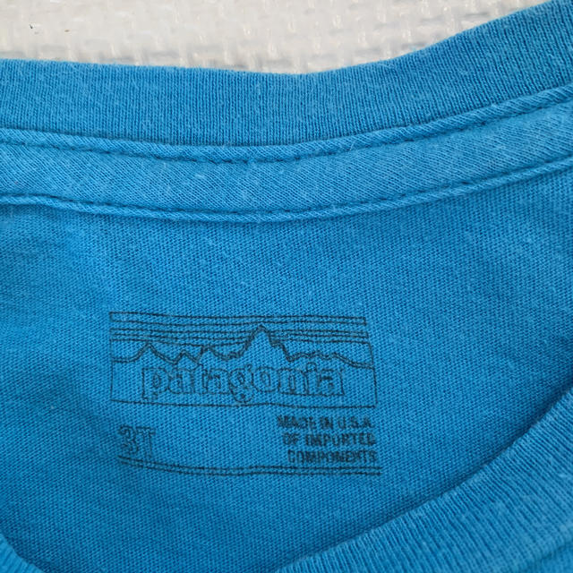 patagonia(パタゴニア)のパタゴニア tシャツ 3T キッズ/ベビー/マタニティのキッズ服男の子用(90cm~)(Tシャツ/カットソー)の商品写真