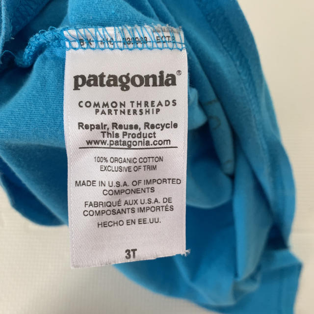 patagonia(パタゴニア)のパタゴニア tシャツ 3T キッズ/ベビー/マタニティのキッズ服男の子用(90cm~)(Tシャツ/カットソー)の商品写真