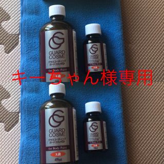 キーちゃん様専用ガードコスメSP施工キット65ml 2セット(メンテナンス用品)