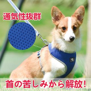 犬リード　ハーネス　楽に散歩、通気性抜群　犬ベルトブラックM 中型犬(犬)