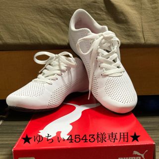 プーマ(PUMA)のPUMA  ドリフトキャット(スニーカー)