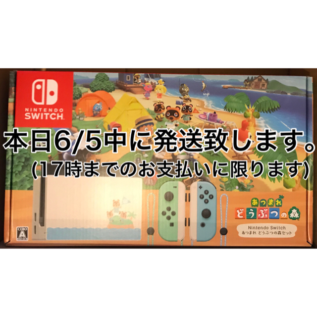 任天堂(ニンテンドウ)のSwitch 本体 ニンテンドースイッチ あつまれ どうぶつの森セット エンタメ/ホビーのゲームソフト/ゲーム機本体(家庭用ゲーム機本体)の商品写真