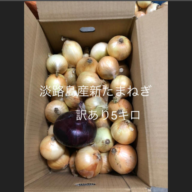 淡路島 新たまねぎ 訳あり 5キロ 食品/飲料/酒の食品(野菜)の商品写真