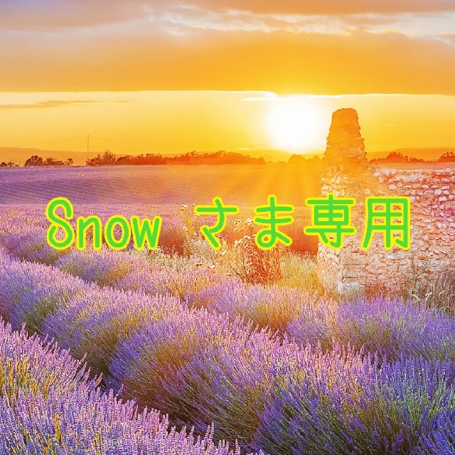 ⑥Snow 様専用🌸リピーターさま🌸通常お出汁セット×3 食品/飲料/酒の食品(調味料)の商品写真