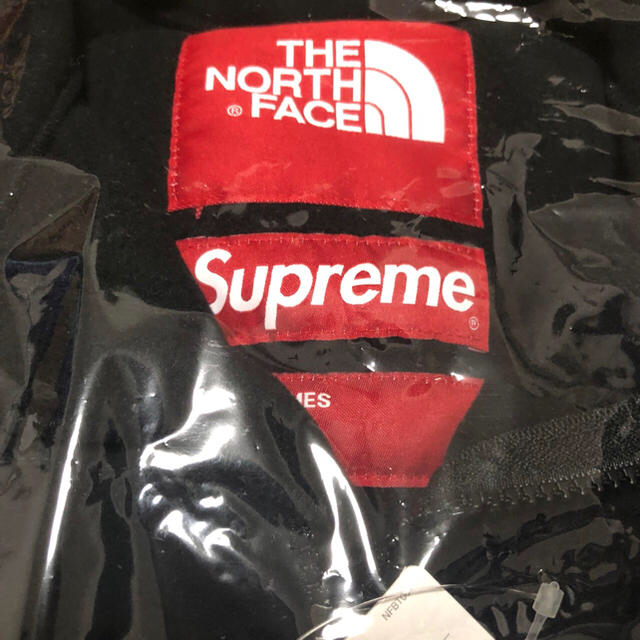 supreme north face RTG