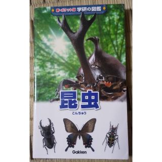 ガッケン(学研)の学研 新ポケット図鑑 昆虫(絵本/児童書)