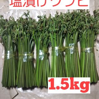 ワラビ 塩漬け1.5kg(野菜)