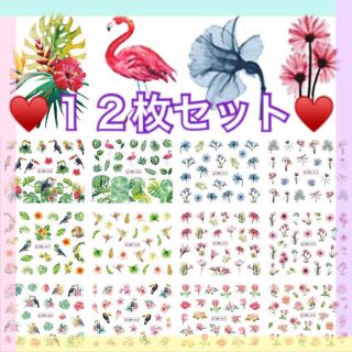 ネイルシール♥️12枚セット♥️処分SALE(ネイル用品)