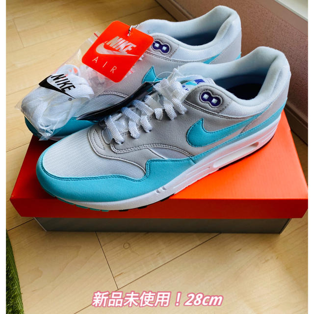 NIKE(ナイキ)の新品未使用！ NIKE AIR MAX 1 ANNIVERSARY 28cm メンズの靴/シューズ(スニーカー)の商品写真