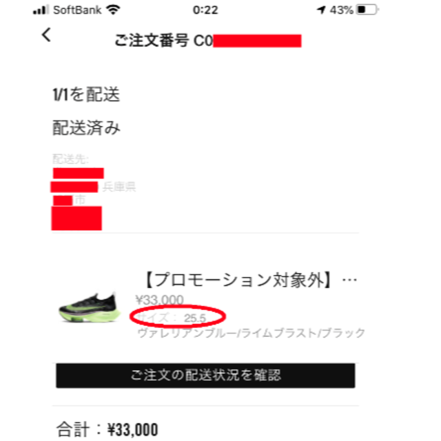 NIKE(ナイキ)の25.5㎝ NIKE AIR ZOOM ALPHAFLY NEXT% 納品書 メンズの靴/シューズ(スニーカー)の商品写真