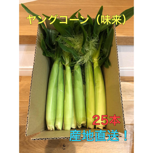 ヤングコーン 2kg 25本〜 食品/飲料/酒の食品(野菜)の商品写真