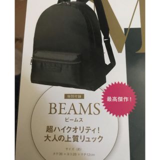 ビームス(BEAMS)の大人MUSE付録　BEAMS バッグ　リュック(リュック/バックパック)