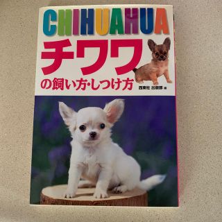 チワワの飼い方・しつけ方(住まい/暮らし/子育て)