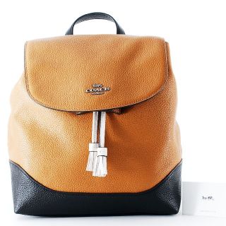 コーチ(COACH)のCoach コーチ バックパック F87676(リュック/バックパック)