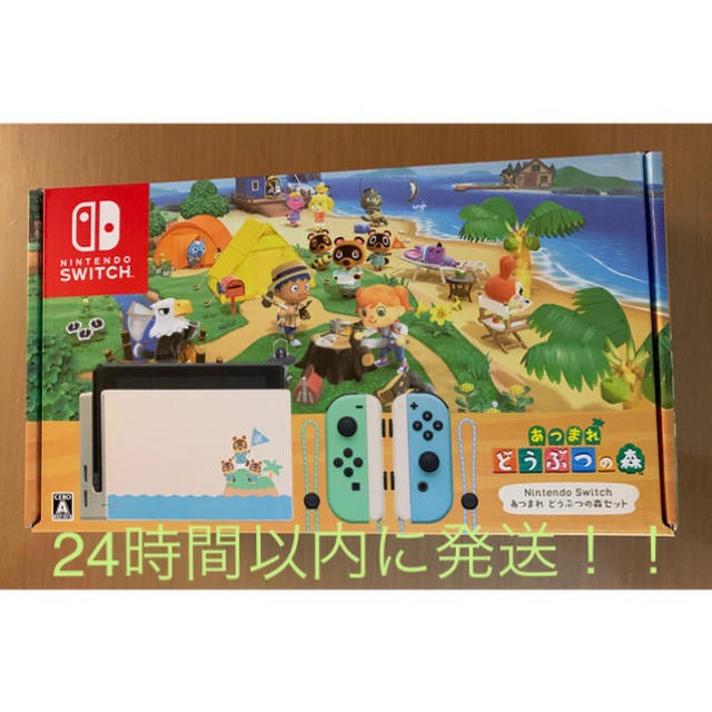 ワンピなど最旬ア! Nintendo Switch あつまれどうぶつの森セット
