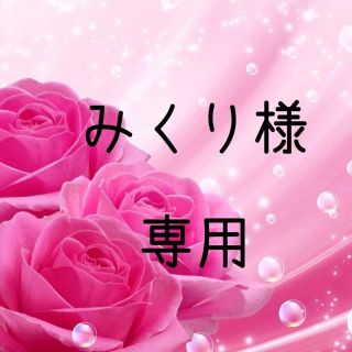 みくり様専用　お米　令和元年　愛媛県産あきたこまち　白米　20㎏(米/穀物)