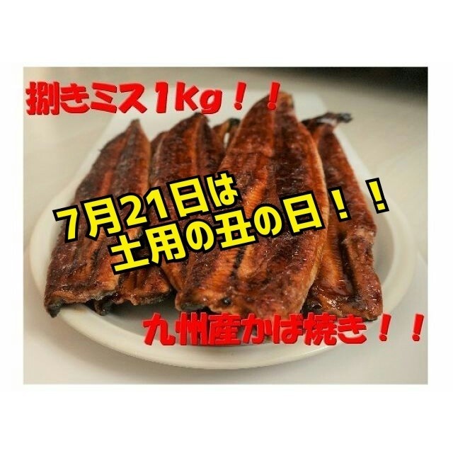 九州産うなぎ蒲焼１㎏（捌きミス・冷凍便）食品