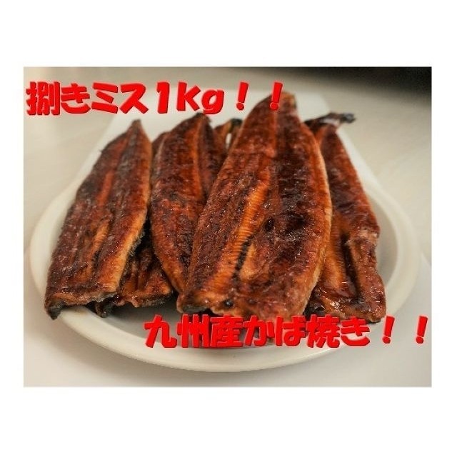 九州産うなぎ蒲焼１㎏（捌きミス・冷凍便）魚介