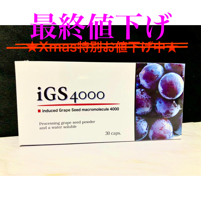 igs4000 ★最終値下げ★