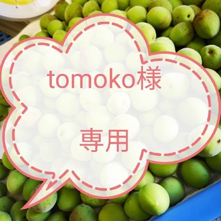 tomoko様専用　白加賀梅の青梅Ｌサイズ～３Ｌサイズ　5kg(フルーツ)