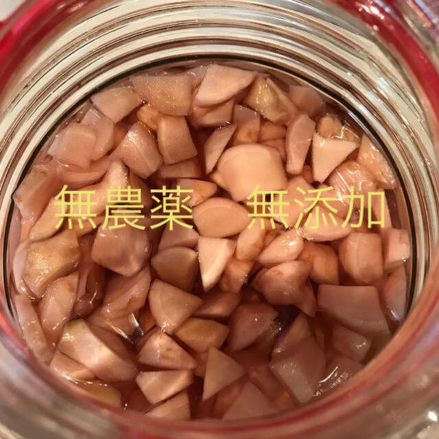 漬物 新 生姜