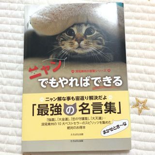 ニャンでもやればできる　猫　本(文学/小説)