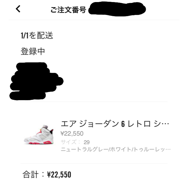 NIKE(ナイキ)の送料込 国内正規品 29cm NIKE AIR JORDAN 6HARE メンズの靴/シューズ(スニーカー)の商品写真