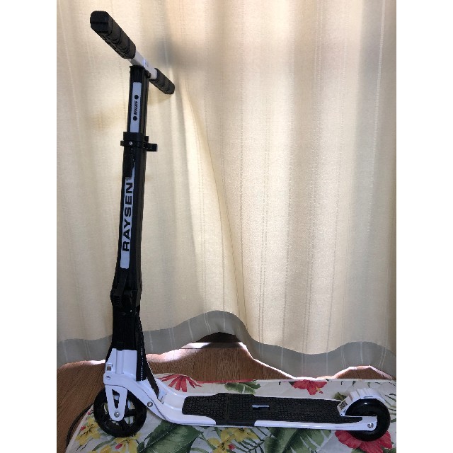 antinephritic RAYSEN TOUR CK-125 レイセンツアー 折りたたみキック