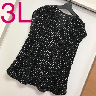 新品未使用品 訳あり3Lサイズ ドット柄ブラウス とスタディオクリップTシャツ(シャツ/ブラウス(半袖/袖なし))