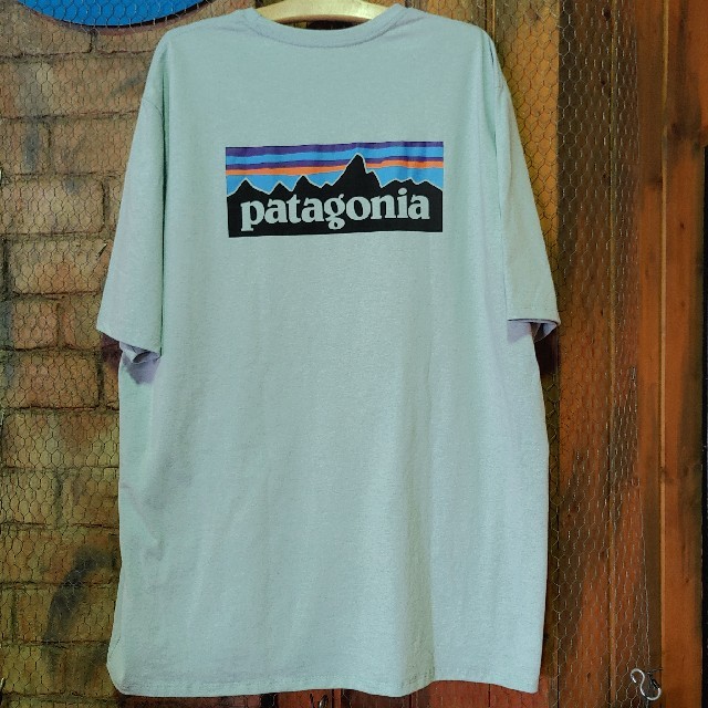 Patagonia 人気のロゴTee 2020新色 メンズXXL