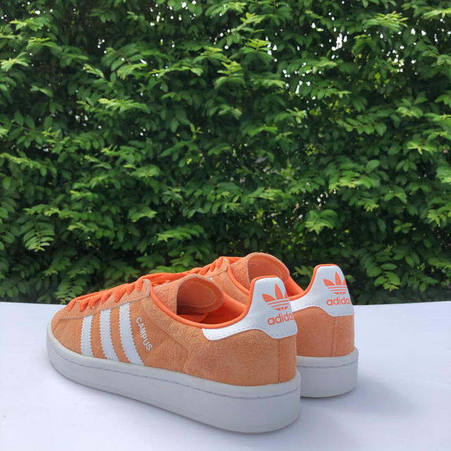 ☆美品☆23㎝☆ adidas CAMPUS アディダス キャンパス W31