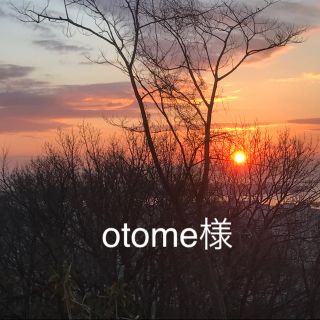 otome様専用(美容液)