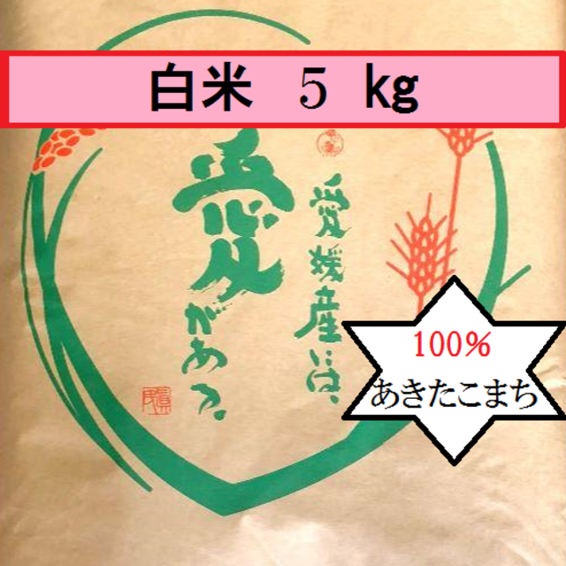 お米　令和元年　愛媛県産あきたこまち　白米　5㎏ 食品/飲料/酒の食品(米/穀物)の商品写真