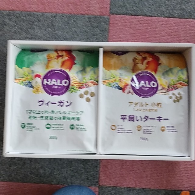 ペット・チョイス・ジャパンHALO 　セット その他のペット用品(犬)の商品写真