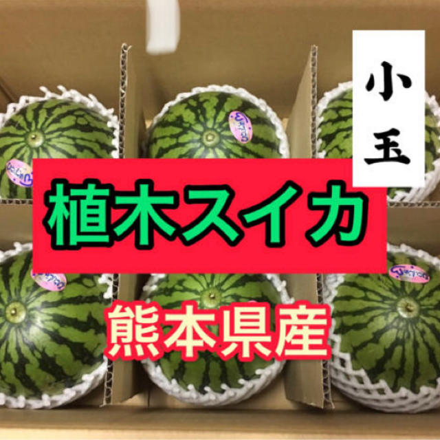 熊本県産　小玉すいか　8k 食品/飲料/酒の食品(フルーツ)の商品写真