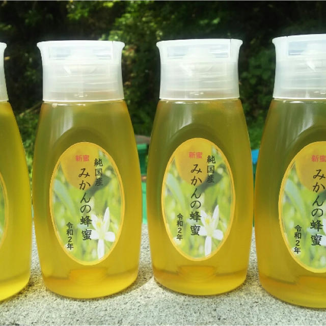 【購入前コメントお願い致します新蜜】国産純粋みかんハチミツボトル4本瓶2本