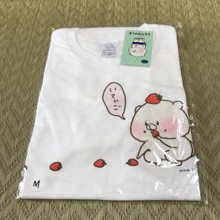 【未開封】ともだちはくま　天神Tシャツ　福岡限定　Mサイズ