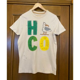 ホリスター(Hollister)のホリスター　メンズＴシャツ　サイズM                 ☆美品☆(Tシャツ/カットソー(半袖/袖なし))