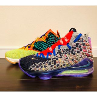 NIKE LEBRON XVII WTW レブロン 17 WHAT THE