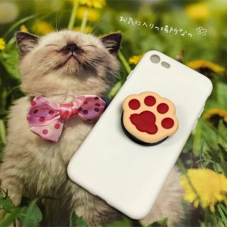 ☆猫ちゃん肉球リング iPhone7.8.SE2.TPUケース5色(^^)(猫)