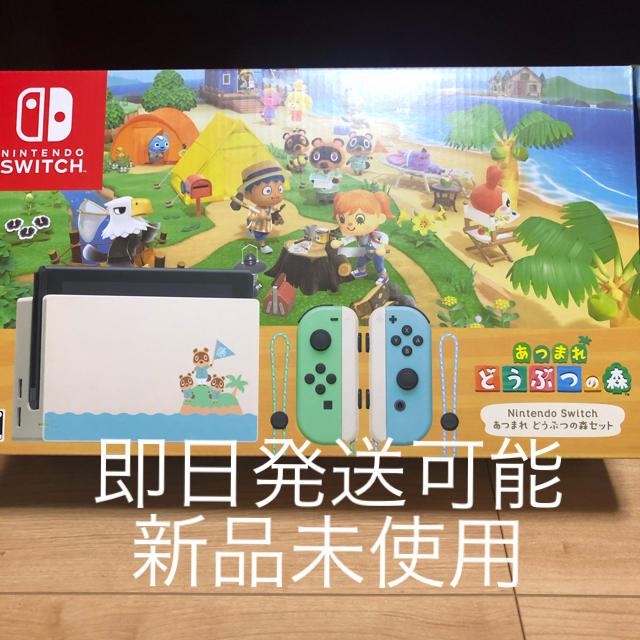 Nintendo Switch - ニンテンドースイッチ　本体　あつまれどうぶつの森　セット