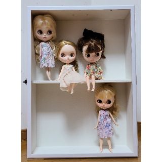 ブライス 大型ドールケース 白の通販 by pe's shop|ラクマ