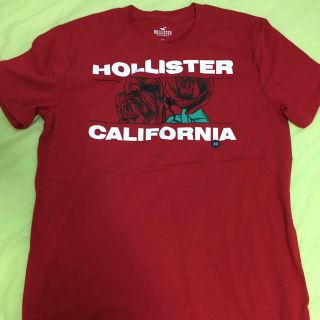 ホリスター(Hollister)のホリスター Tシャツ　新品（日本サイズM）　2枚セット割引あり(Tシャツ/カットソー(半袖/袖なし))