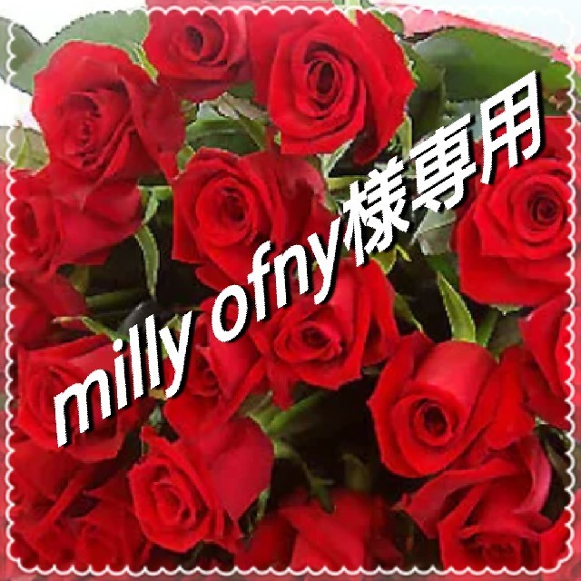 新品/特典付き ぴえろ様専用です♬ - comlas.org