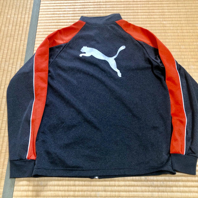 PUMA(プーマ)のプーマ ジャージ 150cm キッズ/ベビー/マタニティのキッズ服男の子用(90cm~)(ジャケット/上着)の商品写真